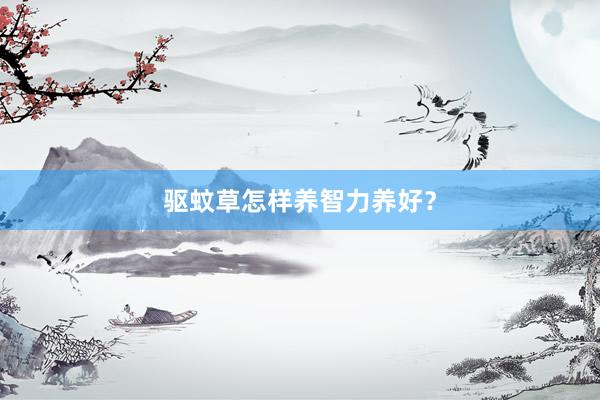 驱蚊草怎样养智力养好？